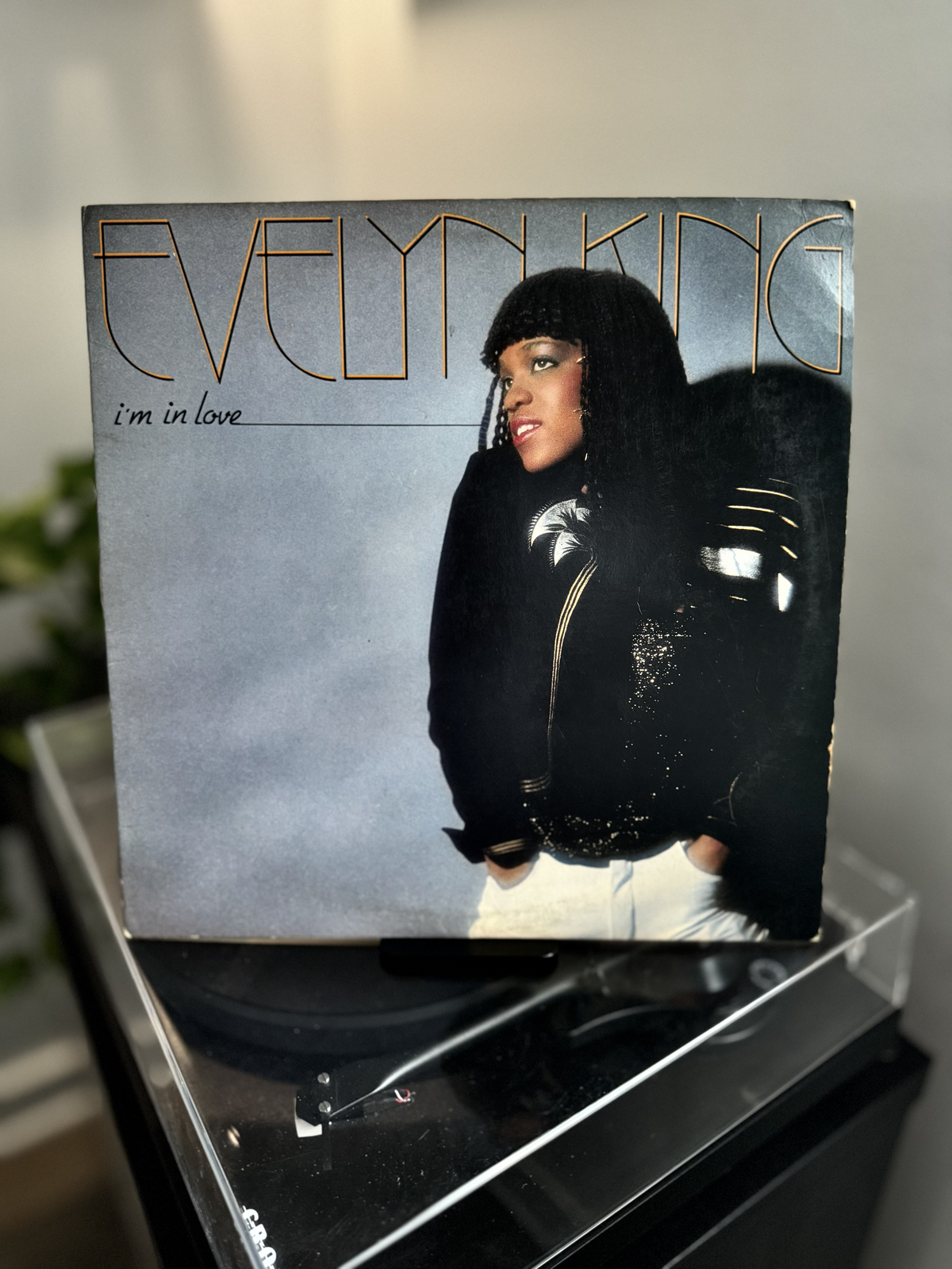 Evelyn "Champagne" King - I'm In Love